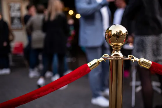 transport vip la reunion avec chauffeur prive